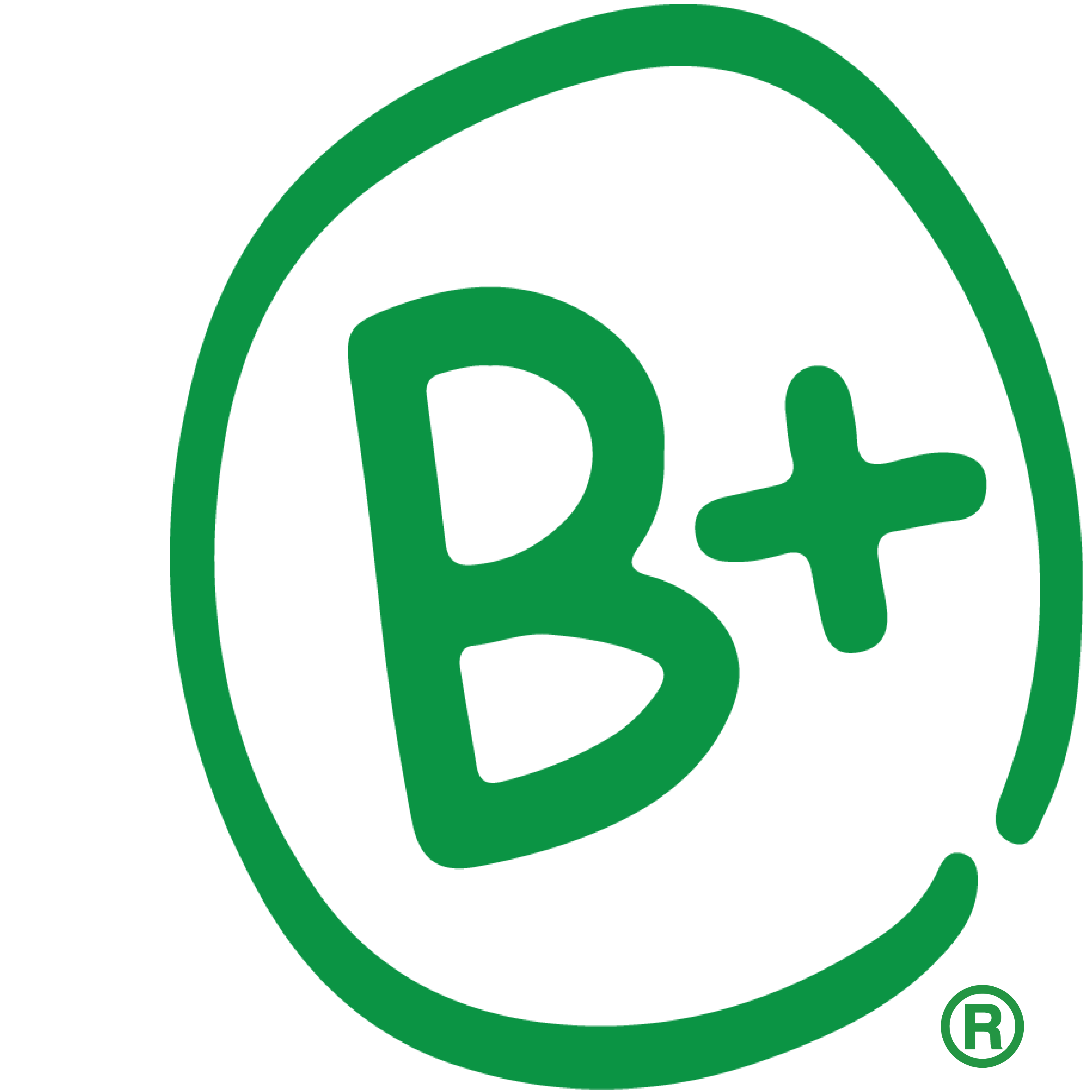 B-Signature